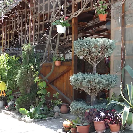 Vendégház Rusalka *